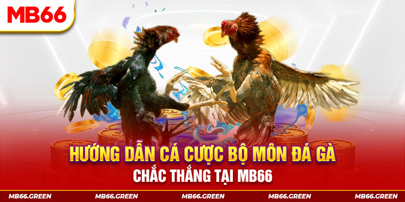 123b123b CQ9 Điện Tử