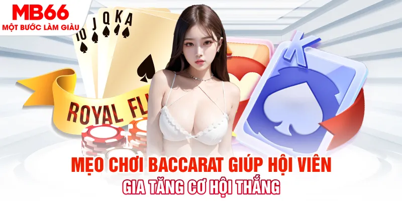 123b123b đá gà 88