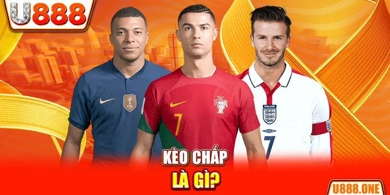 123b123b chổi lông gà