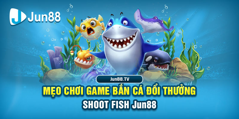 123b123b tai game danh bai bigkool ve may tinh