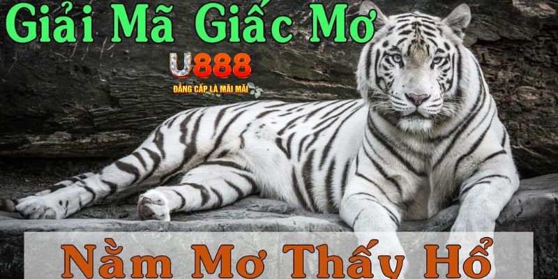 xổ số kiến thiết miền bắc