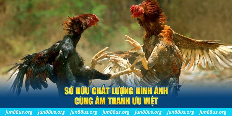 123b123b tai game danh bai ve may tinh