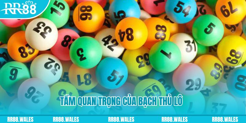 123b123b đá gà trực tiếp casino
