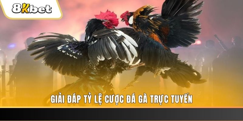 123b123b xổ số ba đài