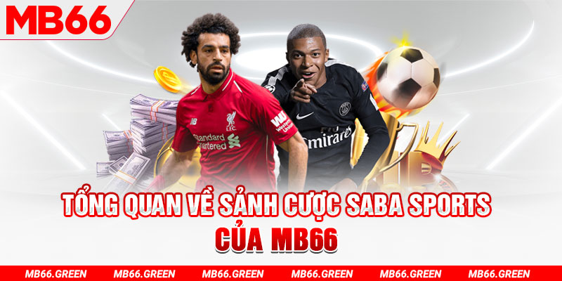 123b123b slot có nghĩa là gì