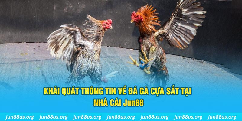 123b123b game bài trên máy tính