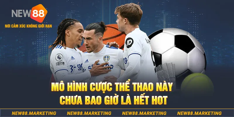 123b123b gà chọi c1 thomo