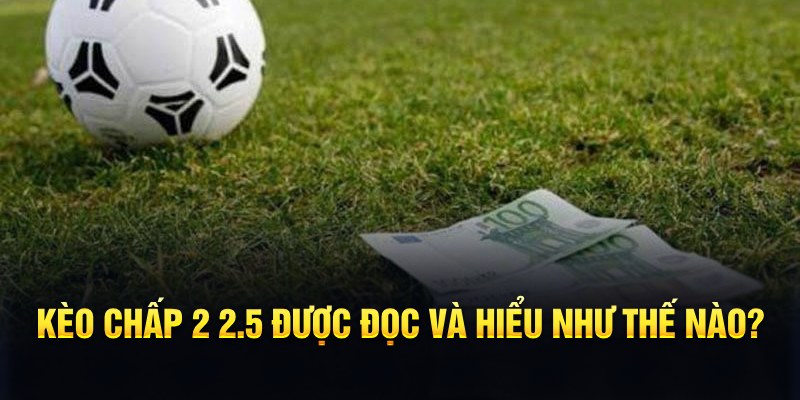 123b123b đá gà thomo